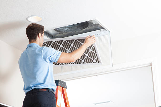 Best HVAC air duct cleaning  in Edgewater, MD